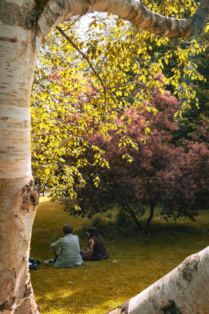 Two people sitting beneath autumn trees in a park in Bath