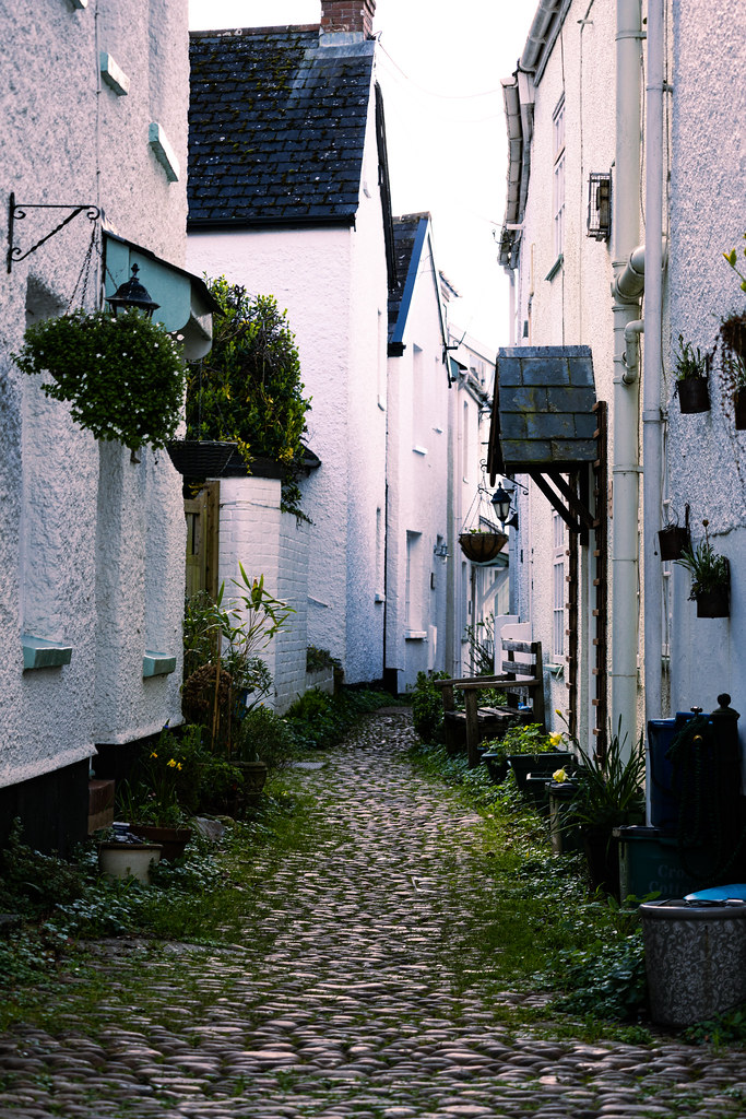 Narrow cobbled alley lined with white cottages and hanging plants in Devon