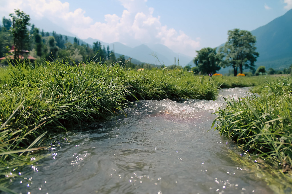 Clear mountain stream flowing through grass with Kashmir peaks in the distance