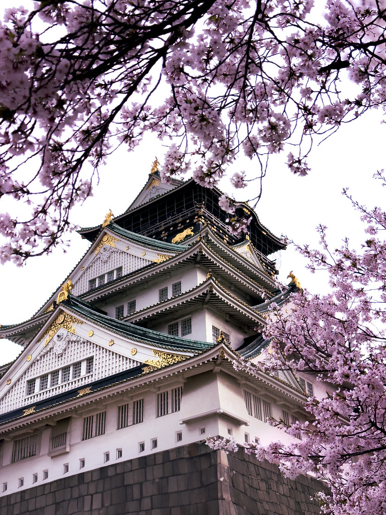 Osaka Castle framed by pink cherry blossoms in spring